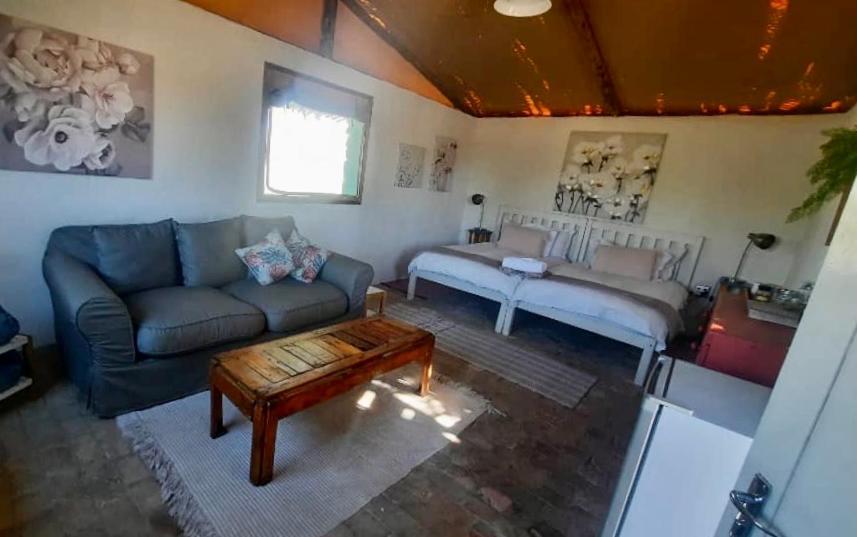 Daureb Isib Campsite And B&B Uis Luaran gambar